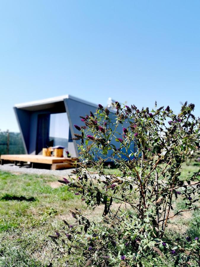 Hotel 17Tuzla Pokój zdjęcie